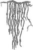 Quipu